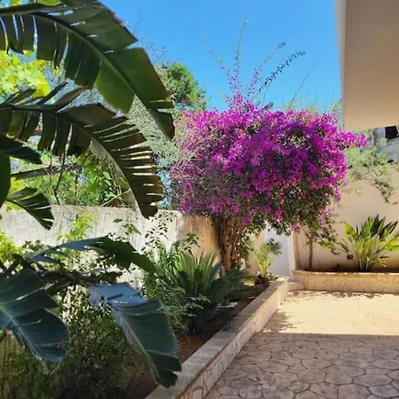 Meri * Torre Lapillo