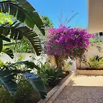 Meri * 托雷拉皮罗