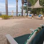 Meri 托雷拉皮罗