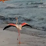 公寓 Meri 托雷拉皮罗