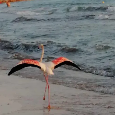 Апартаменты Meri Торре-Лапилло